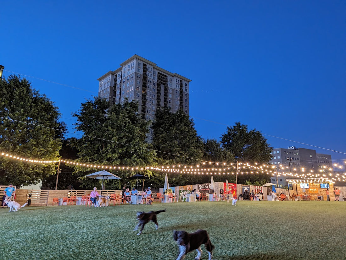 My favorite Georgia dog park