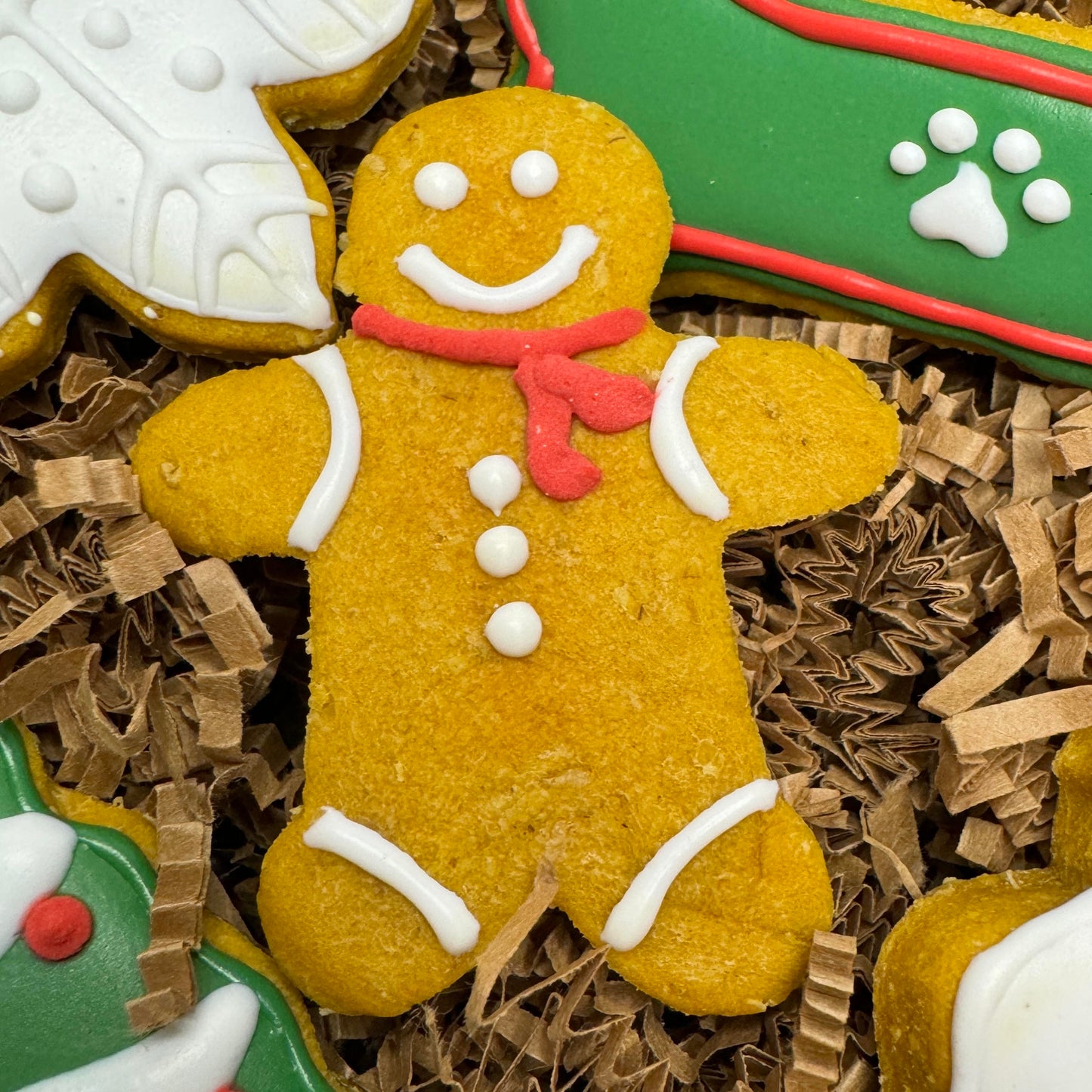 Christmas Dog Cookie Bundle 5 pack