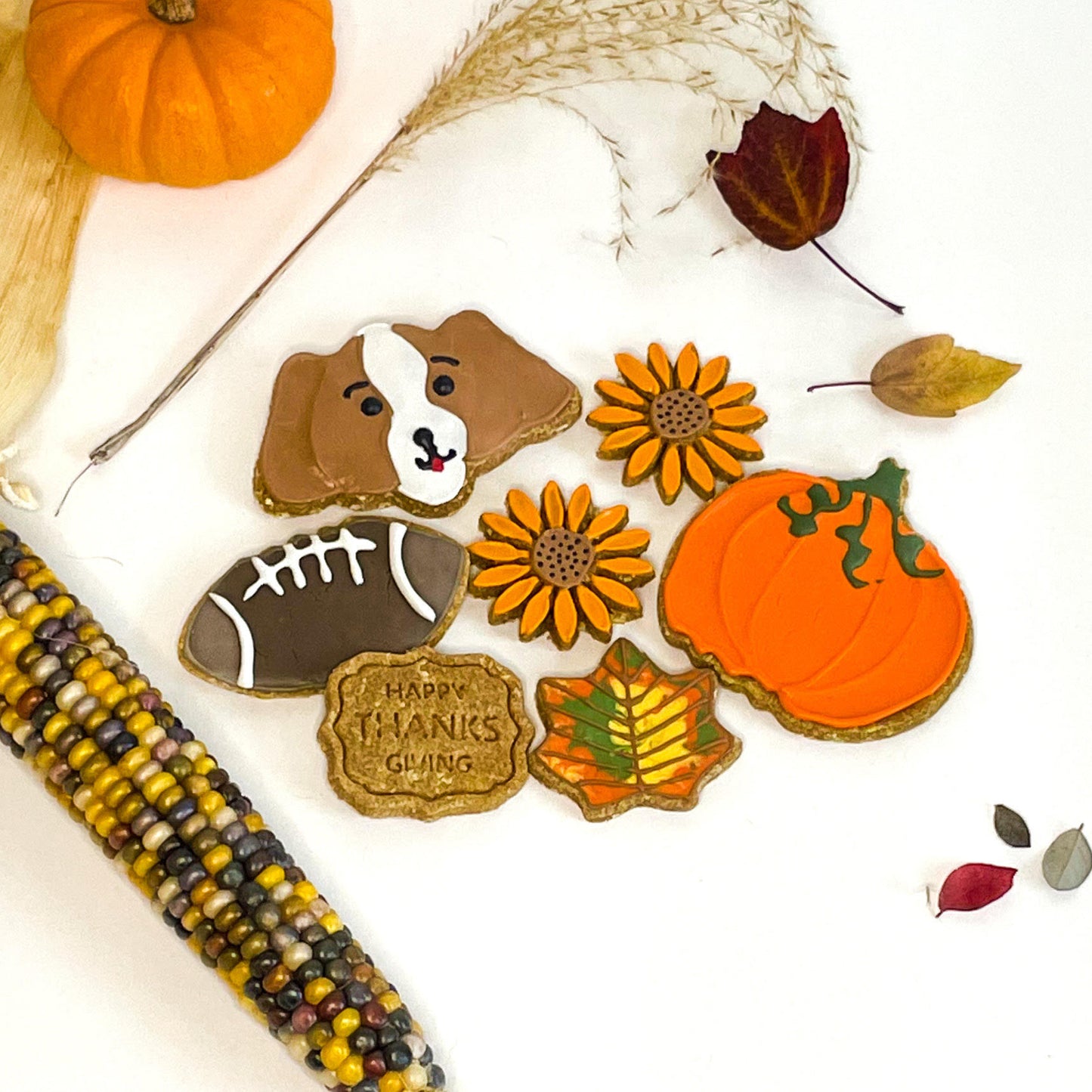 Halloween Pumpkin Patch Pup Treat Collection