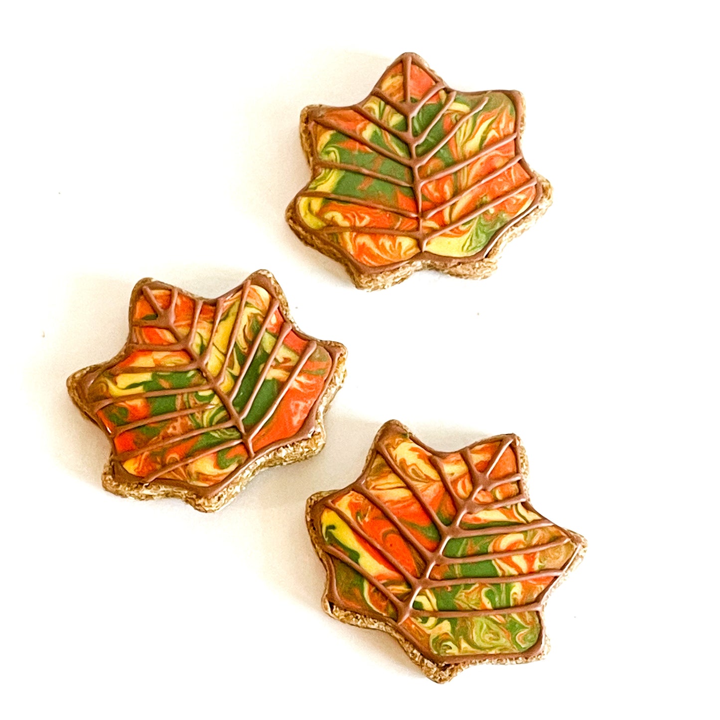 Fall Leaves Dog Biscuits