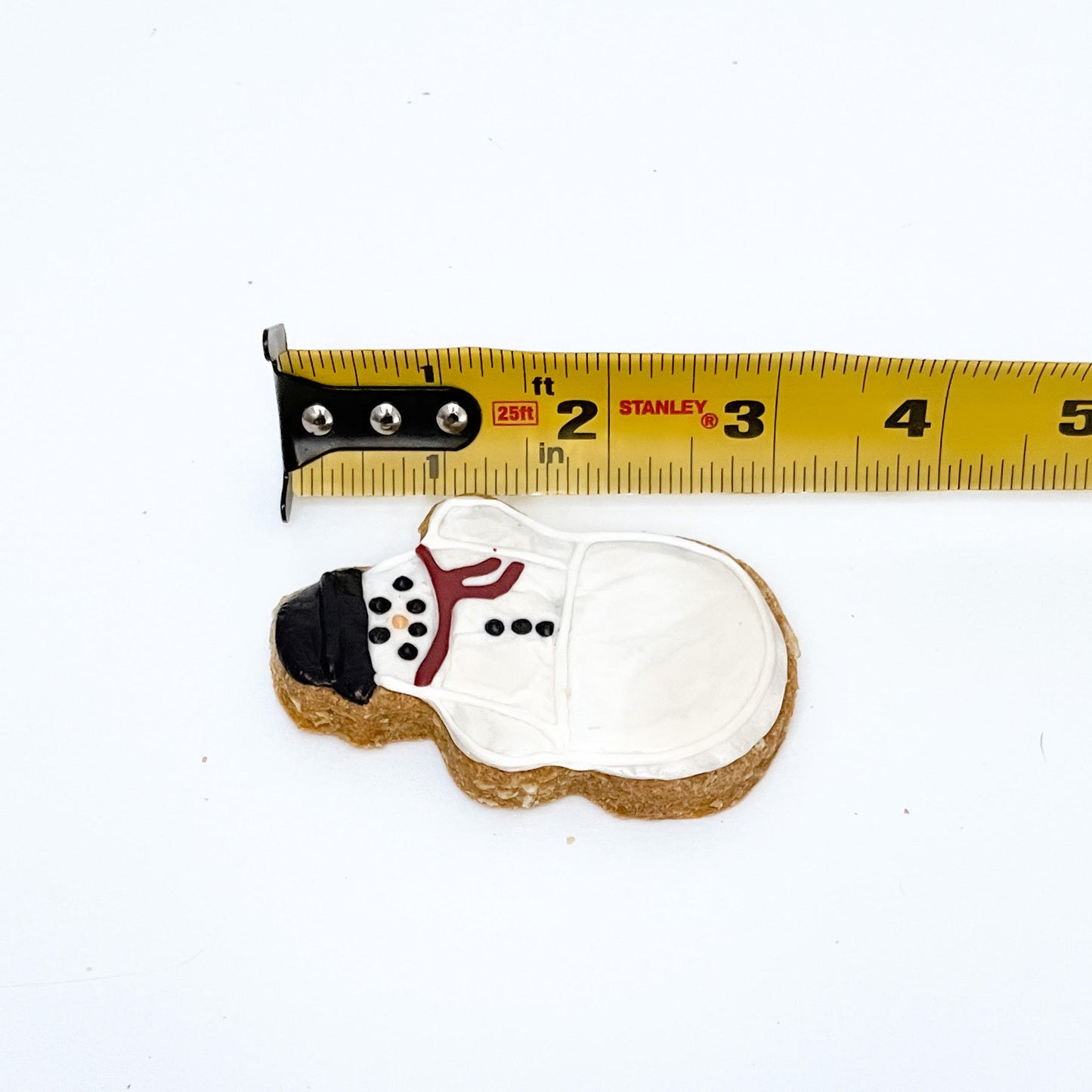 Santa Paws Surprise Dog Christmas Treat Bundle