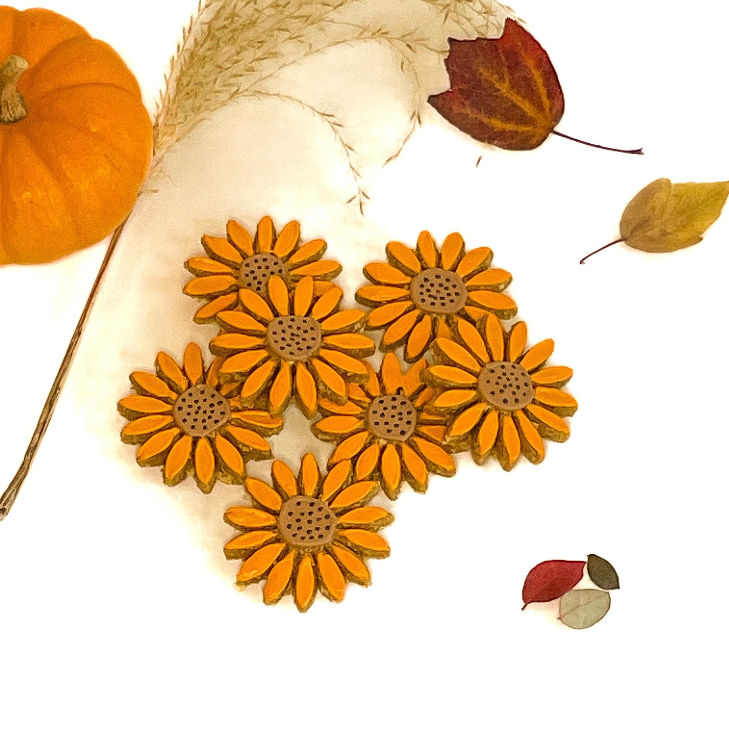 Sunflower Dog Biscuits
