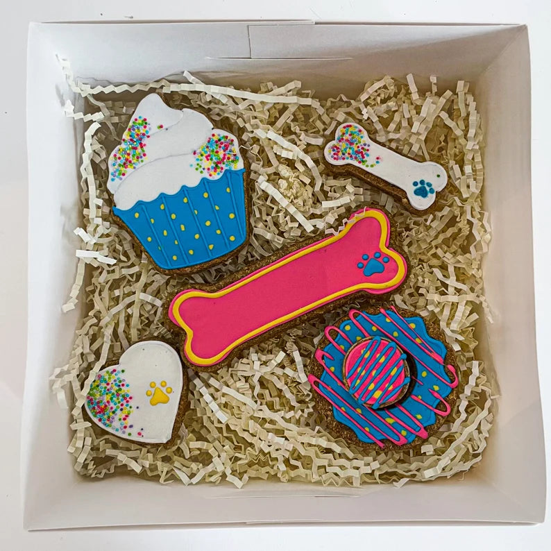 Celebration Barkday Doggo Biscuit Bundle