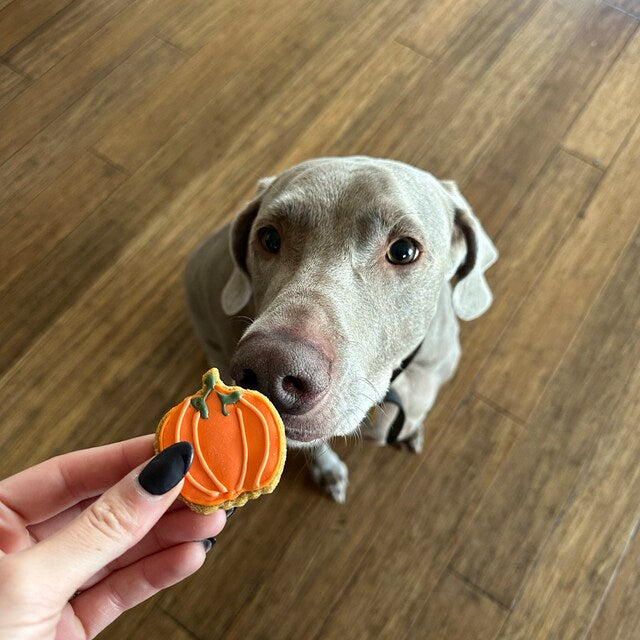 Pawlicious Biscuit Bundle